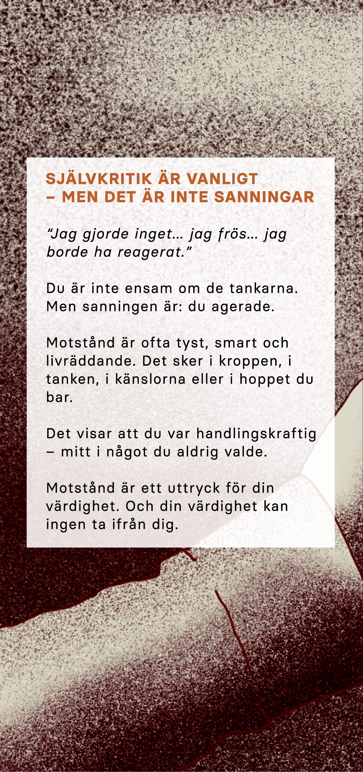 Självkritik är vanligt - men det är inte sanningar